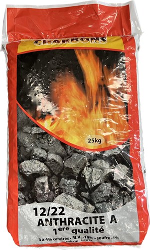 Briquette de lignite 25 kg REKORD